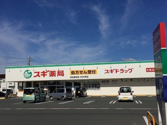 スギ薬局浜松飯田店：600m