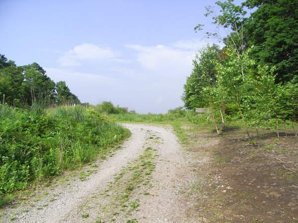  坂宇場字桃ノ木平