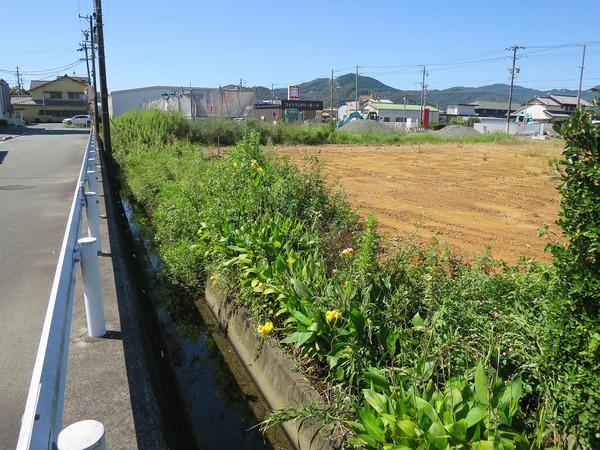 三ヶ日町三ヶ日土地 土地