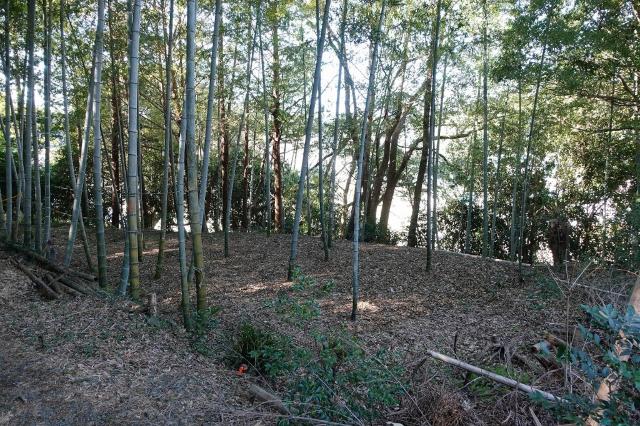 大山町土地 土地
