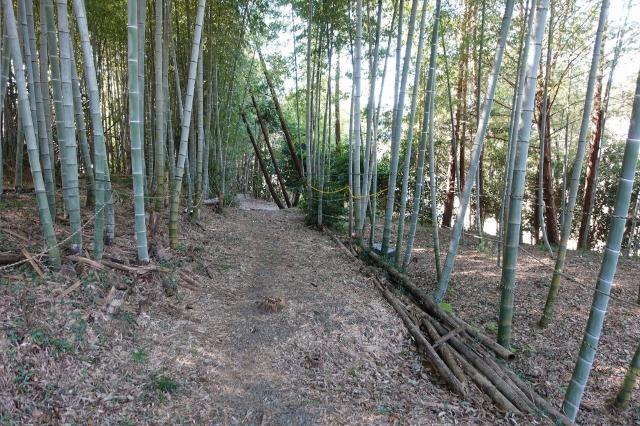 大山町土地 共有部分