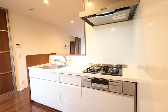 オズマント　B棟（103） 部屋画像