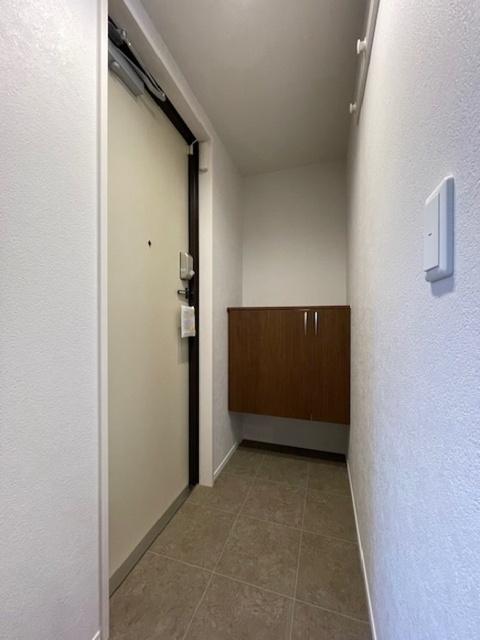 ＣＡＳＡニックスⅣ（203） 玄関