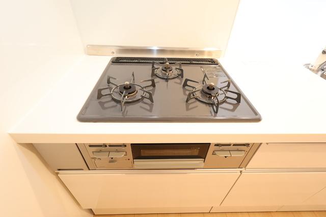 アネックス伍番館（303） 部屋画像