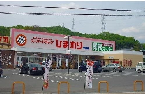 スパードラッグひまわり：1200m