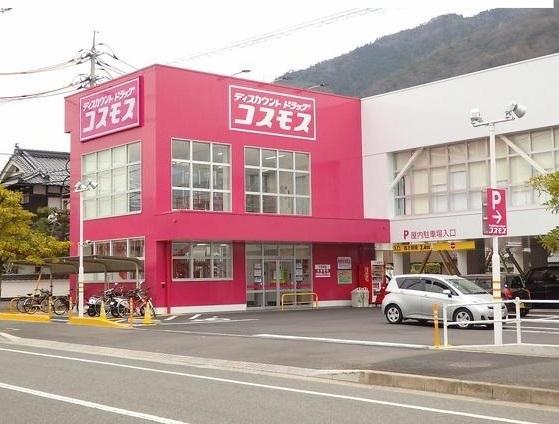 コスモス：550m