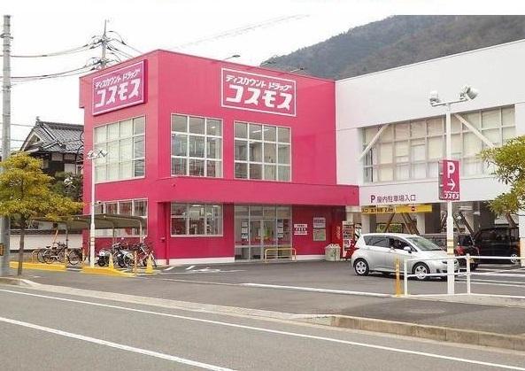 コスモス：550m