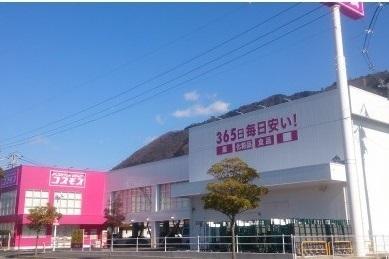 コスモス：750m