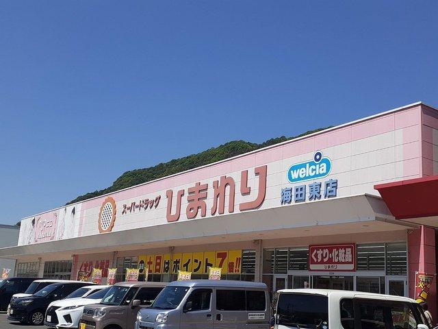 ひまわり：2600m