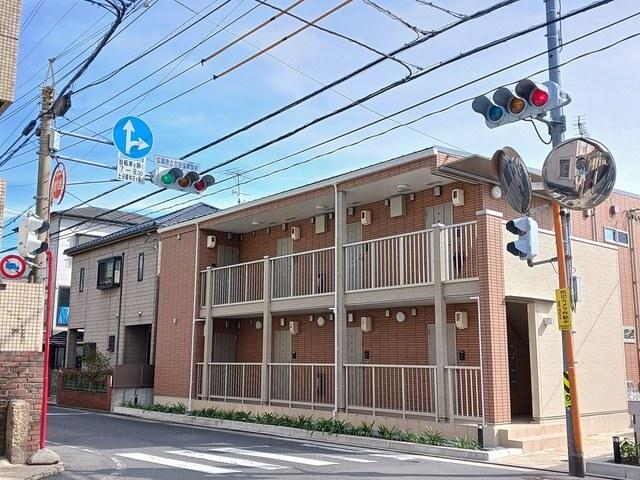 メインクーン（204） 外観