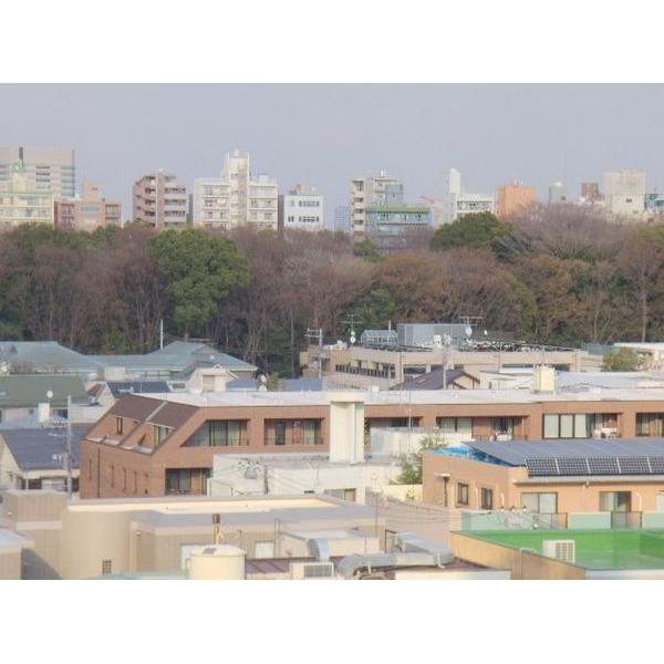 巣鴨第２ＳＹマンション 眺望