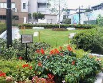 公園