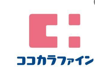 ドラックストア