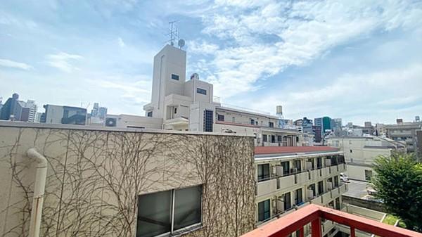 ワコー高田馬場マンション 眺望