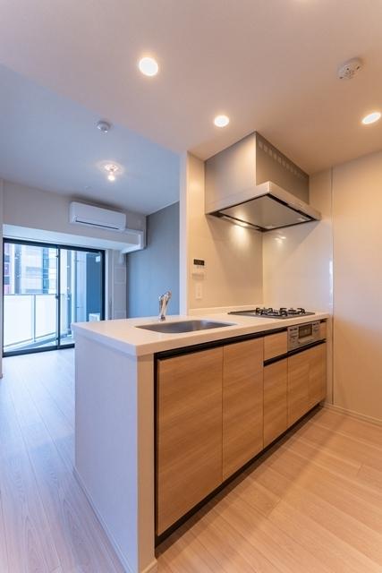 ルフォンプログレ蔵前プレミア（905） 部屋画像