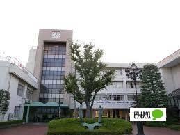 高校
