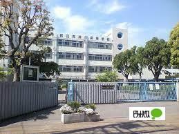 高校