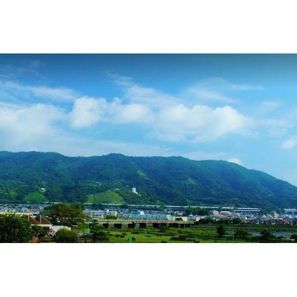 開成水辺スポーツ公園：2969m