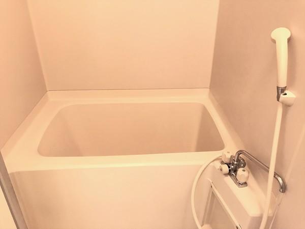 セシリアマンション（305） 部屋画像