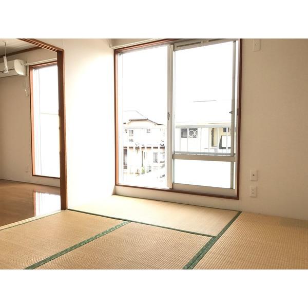 メゾン大井Ｂ（201） 室内