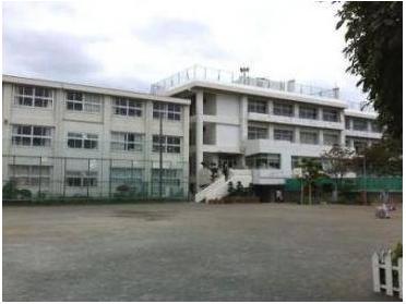 伊勢原市立伊勢原小学校：498m