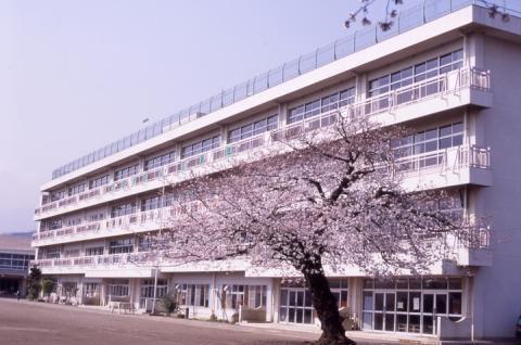 秦野市立大根小学校：622m