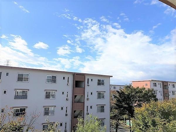 東高森団地3号棟 物件画像