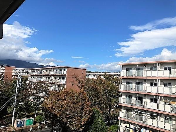 東高森団地3号棟 物件画像