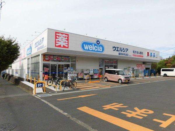 ウエルシア盛岡本町通店：426m
