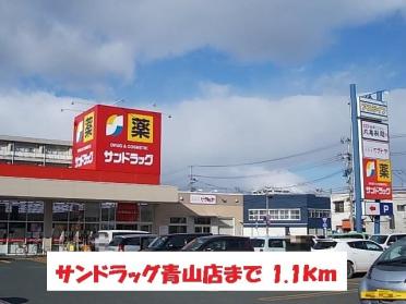 サンドラッグ青山店：1100m