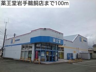 薬王堂岩手鵜飼店：100m