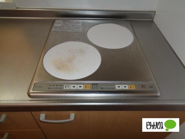 シャーメゾン不来方Ⅱ（102） 部屋画像