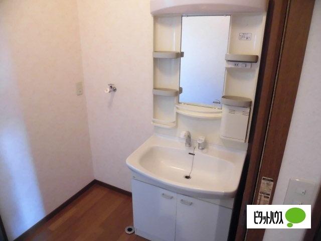 Ｂｒｉｇｈｔ Ｂｕｒｇ　Ｂ棟（102） 洗面