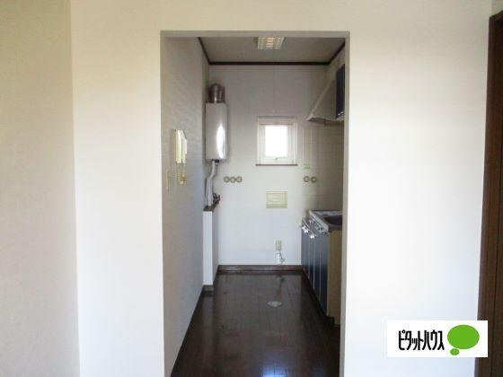 ホワイトベース　B（202） 部屋画像