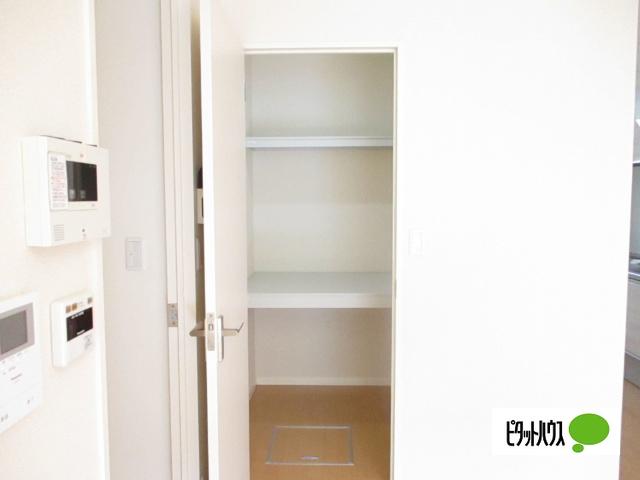 Ｃｉｔｒｉｎｅ　(シトリン)（101） 収納