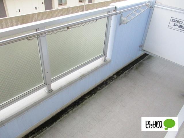 コルトーナ弐番館（304） バルコニー