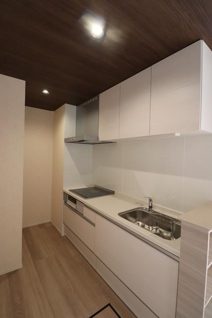 RESUA向中野　A棟（102） 部屋画像