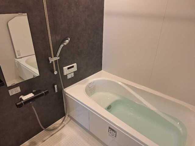 RESUA向中野　C棟（105） 部屋画像