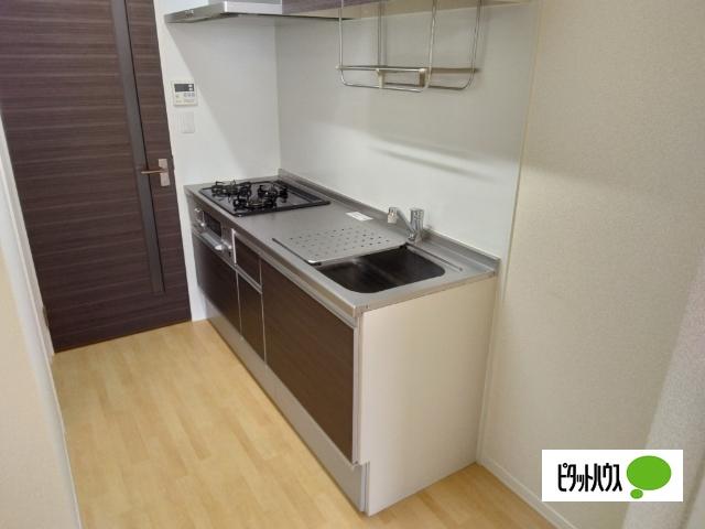 SHAMAISON PLANT(シャーメゾンプラント) B（205） キッチン
