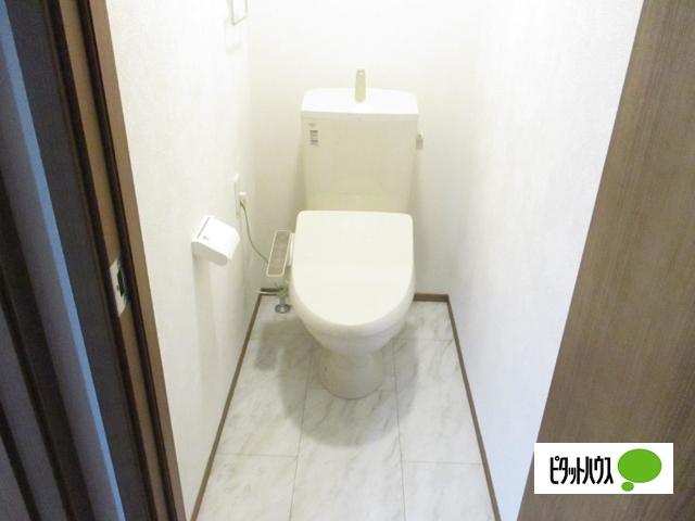 ヘリテイジ矢巾C（C-1） トイレ