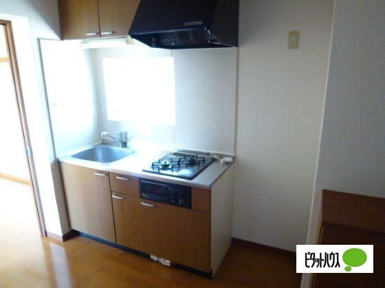 マンションレスト（203） キッチン
