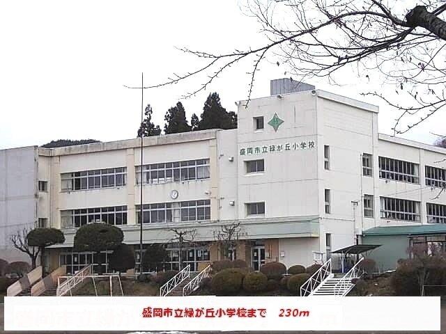 盛岡市立緑が丘小学校：230m