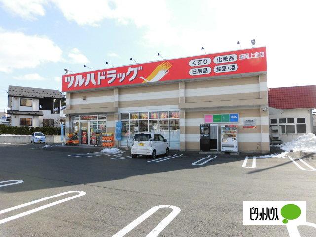 ツルハドラッグ盛岡上堂店：602m
