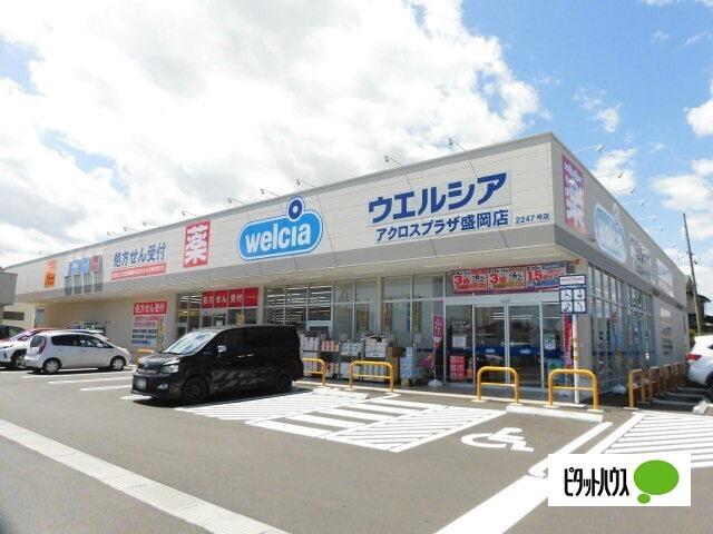 ウエルシアアクロスプラザ盛岡店：175m