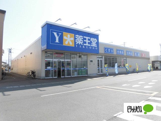 薬王堂矢巾SC店：175m