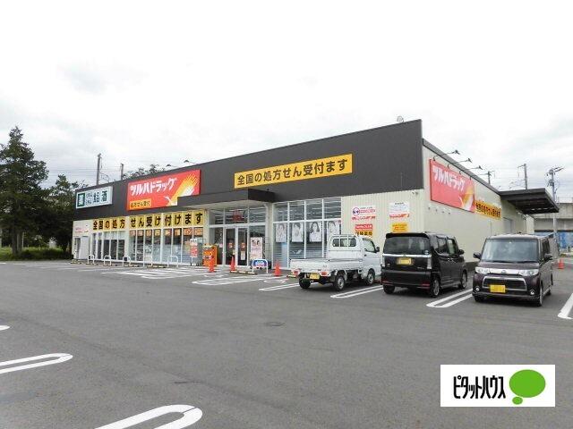 ツルハドラッグ紫波南店：684m