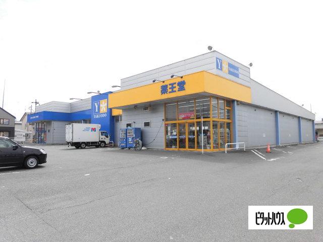 薬王堂盛岡青山店：1066m