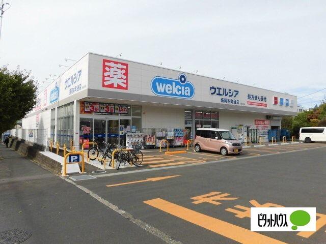 ウエルシア盛岡本町通店：323m