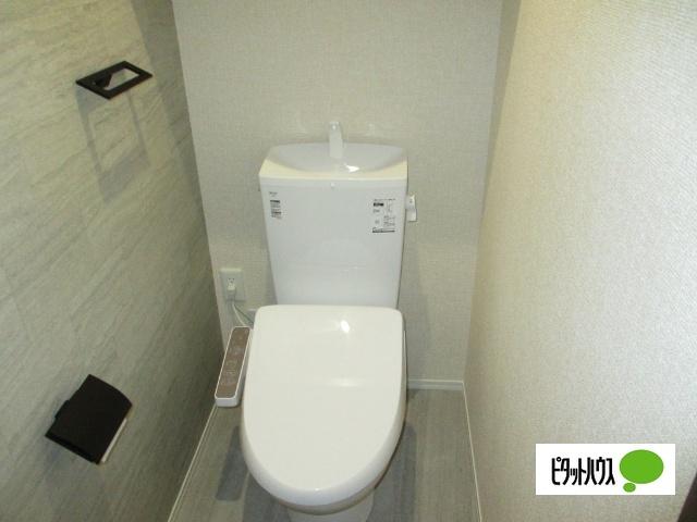 D-ROOM盛岡本宮　A棟（201） トイレ