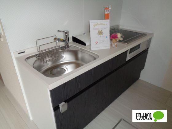 D-ROOM盛岡本宮　D棟（101） キッチン
